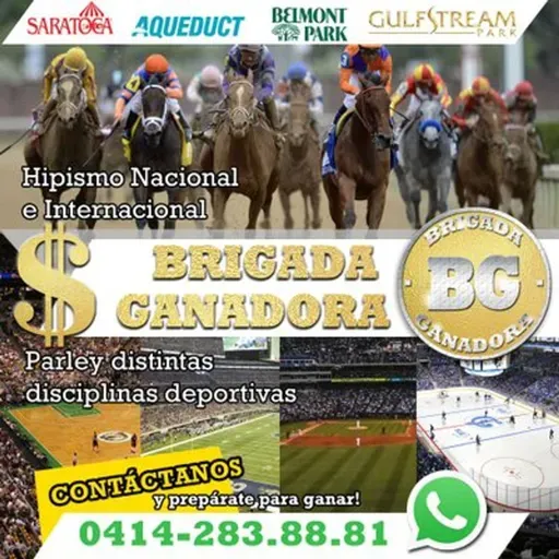 Marcas Parx R.11.12.18