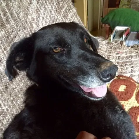 meditacao-compartilhada-27092025