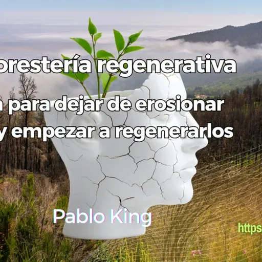 Agroforestería regenerativa: La guía para dejar de erosionar suelos y empezar a regenerarlos
