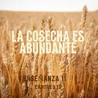 Enseñanza 11.La cosecha abundante.