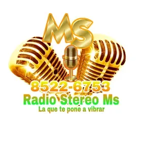 radio stereo ms y yg