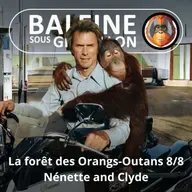 S07E120 Les Orangs-Outans 8/8 : Nénette and Clyde (Emmanuelle Grundmann)
