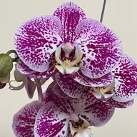 Las señales de la primavera