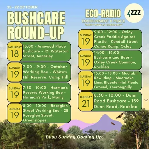 Amanda Philp, Australian Seabird & Turtle Rescue