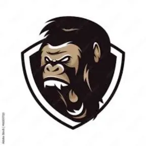 manuelradio