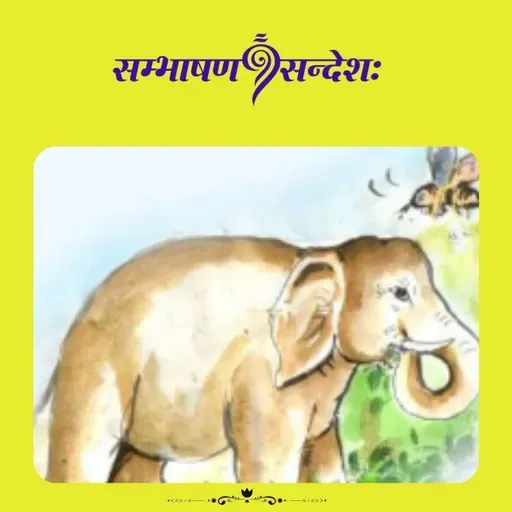 शान्तचित्ततायाः मार्गः