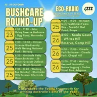 Andrew Turbill - Birds