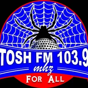 ToshFM1039