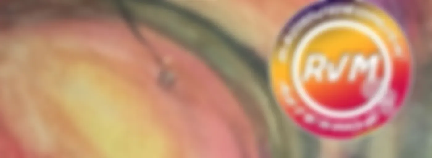 "Lo Sguardo Oltre" di Laura Pazzano