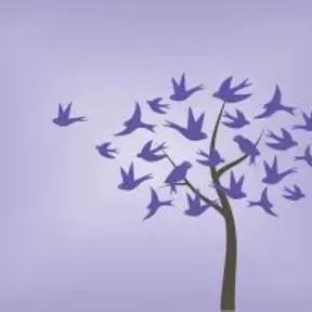 MULTIVERSO