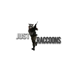The Raccoon Den