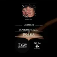 TERCEIRA VISÃO. Wilma César 