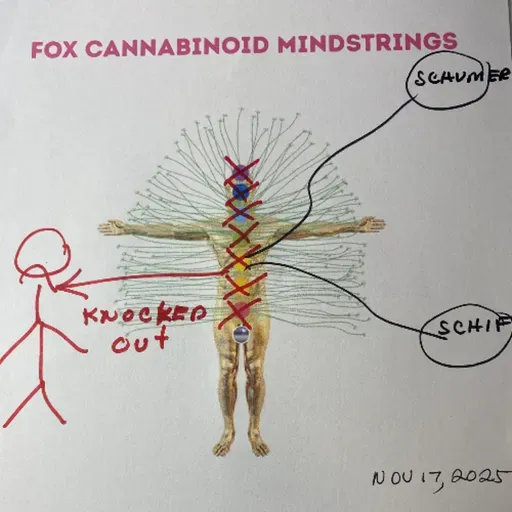 MTG Mind control-US energies- Alien strings-Jesus would be shocked - November 17th, 2025