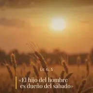 Lucas 6, 1-5 - XXII Sábado del Tiempo Ordinario