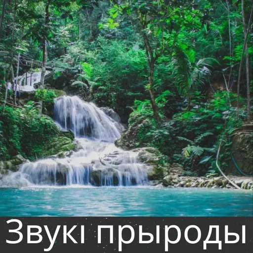 Моцны віхор у лесе - 10 гадзін для сну, медытацыі і рэлаксацыі