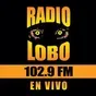 Radio Lobo - KIWI