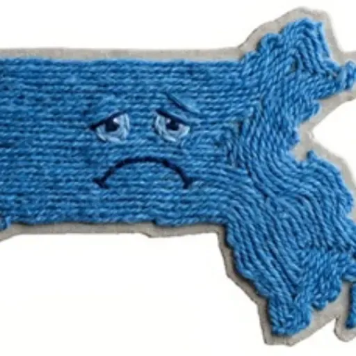 #216 The Blue State Blues