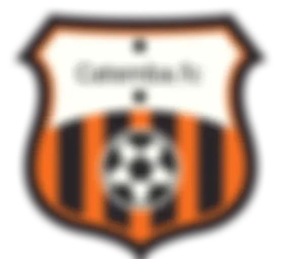 Botafogo pb x catemba