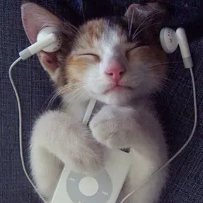 MEOWradio