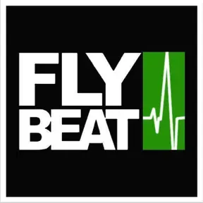Flybeat E-Music Sounds