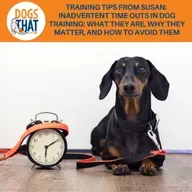 Training Tips From Susan: Inadvertent Time Outs In Dog Training: What They Are, Why They Matter, And How To Avoid Them