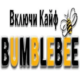 Радио BumbleBee | Radio BumbleBee у прямому ефірі