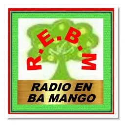 Radio Mango Tree