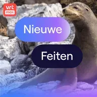 Volwassen Galapagos-zeeleeuwen toch nog aan de borst