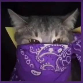 WmAlves