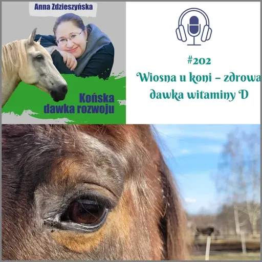 #202 Wiosna u koni – zdrowa dawka witaminy D