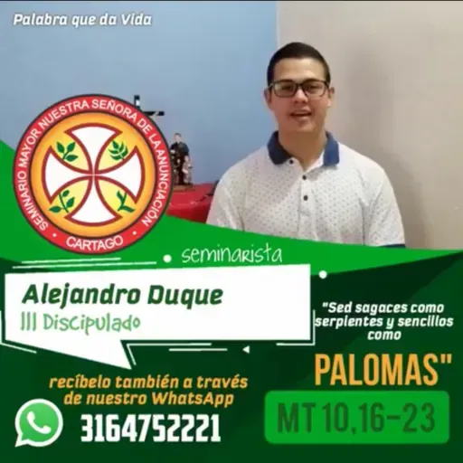 Viernes de la XVI semana del tiempo ordinario 2020