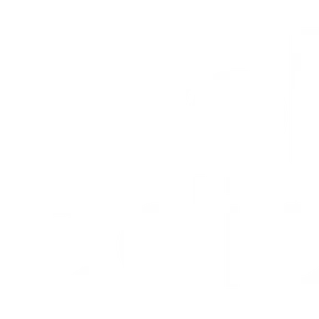 Revolution Radio