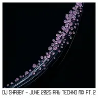 dj Shabby - June 2025 Raw Techno Mix pt. 2