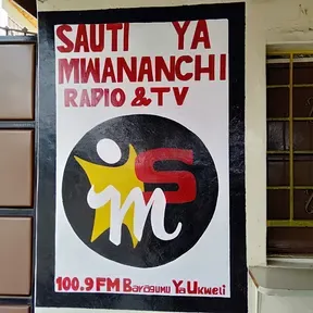 Sauti try