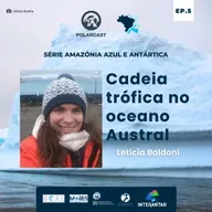 Cadeia trófica no oceano Austral
