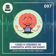 097 — Como o cérebro se conserta após um dano?