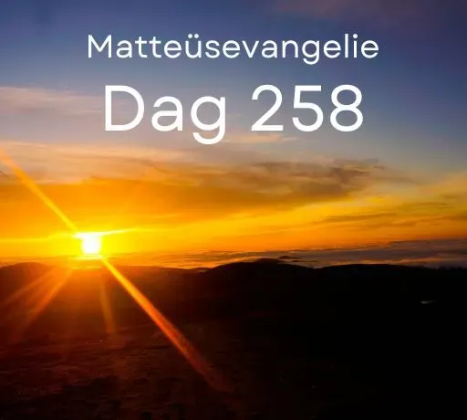 Bijbel in een jaar. Dag 258 (Matteüsevangelie)