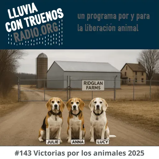 #143 Victorias por los animales 2025