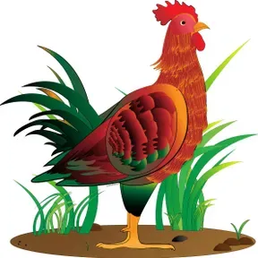 Gabera fm
