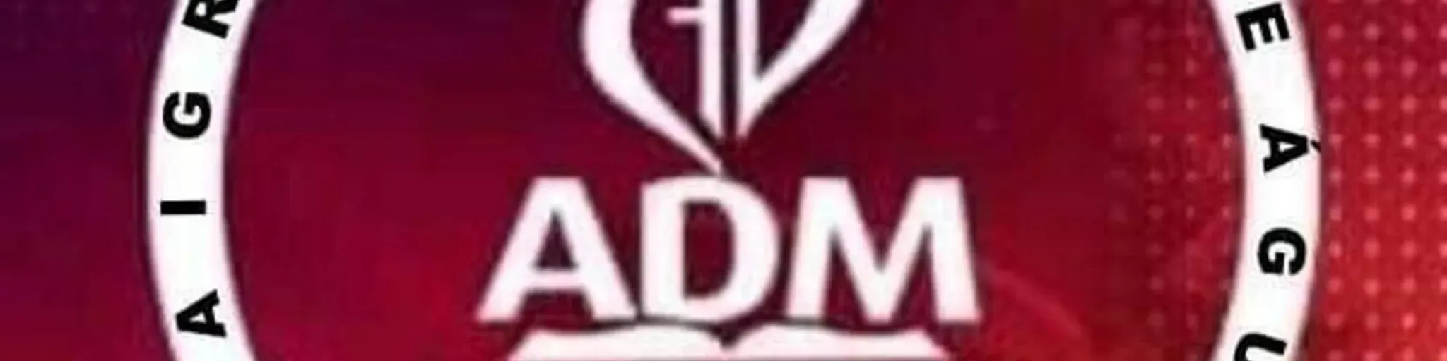 IMDRS22