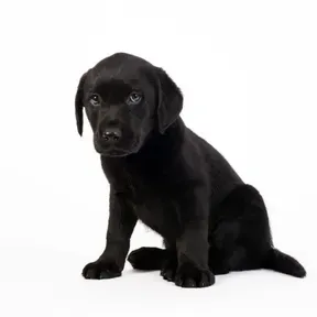 Calentamiento Global