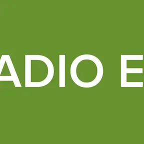 RADIO EFI