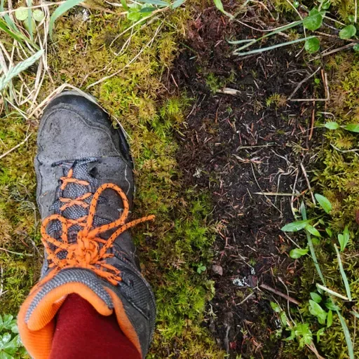 SASQUATCH CHRONICLES 11: Jose Luis Olmos Tour 2025