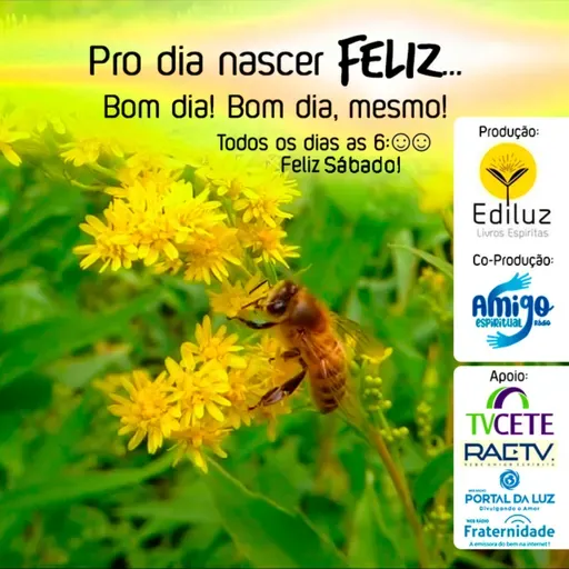 Pro dia nascer Feliz... Bom dia! Bom dia, mesmo! #330