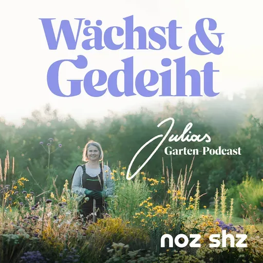 Herbstzeit ist Pflanzzeit: Aber was sind die besten klimastarken Gehölze für deinen Garten?