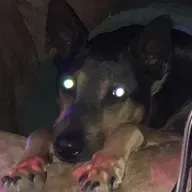 SECRETS Of money and the incorporation of America! W/Jordan Maxwell, & #Trista4SenateGov&Prez!