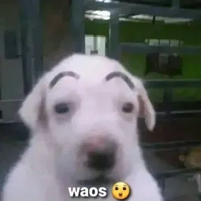 _txmbxy