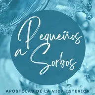 reflexiones sobre el Evangelio del lunes 30 de junio de 2025 (Mt 8, 18-22)