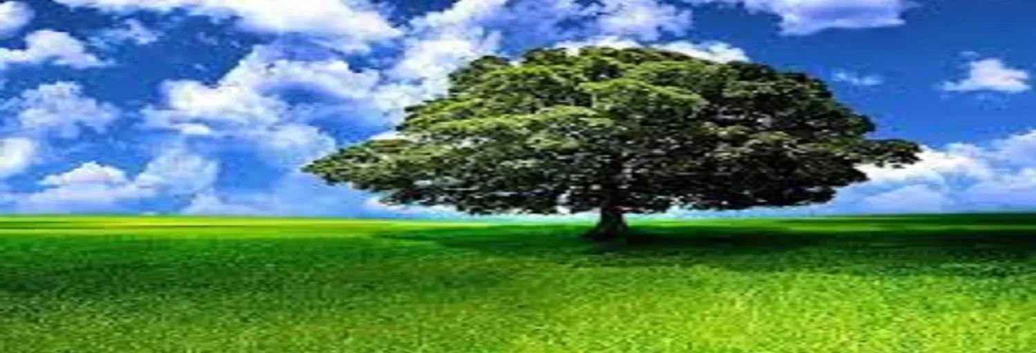 Estação Jardim do Éden