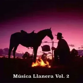 LLANERISIMA FM